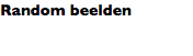 Random beelden 